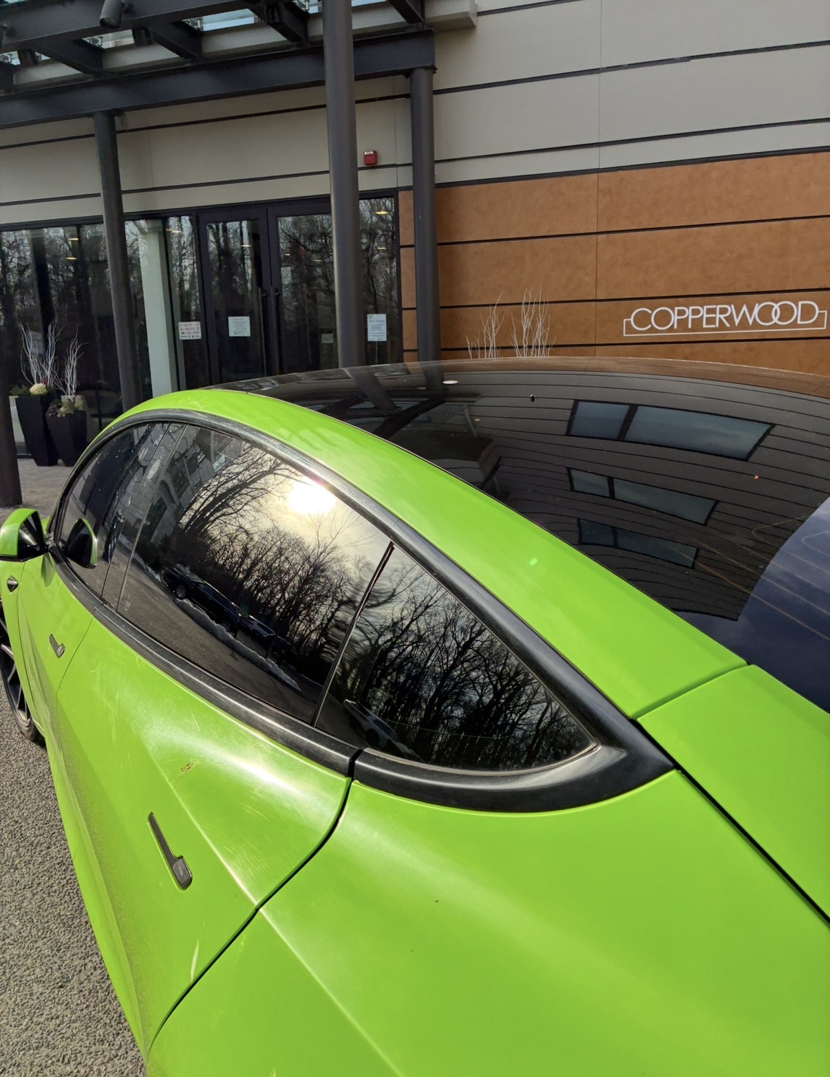 Copperwood cruise